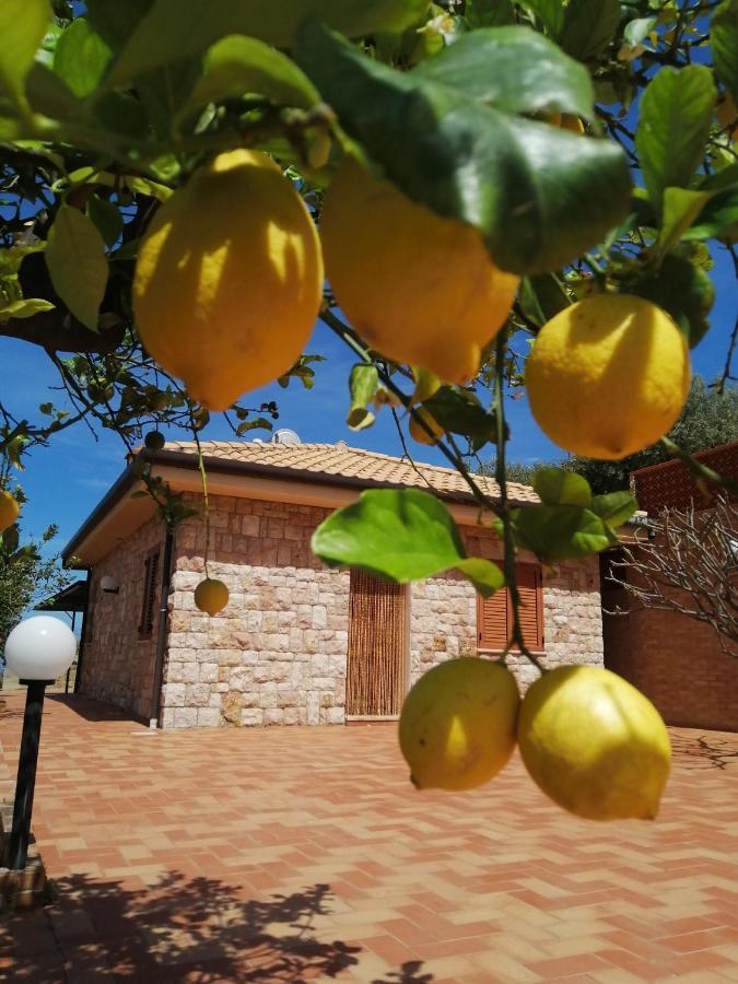 Villa Verde Cefalù Exteriér fotografie