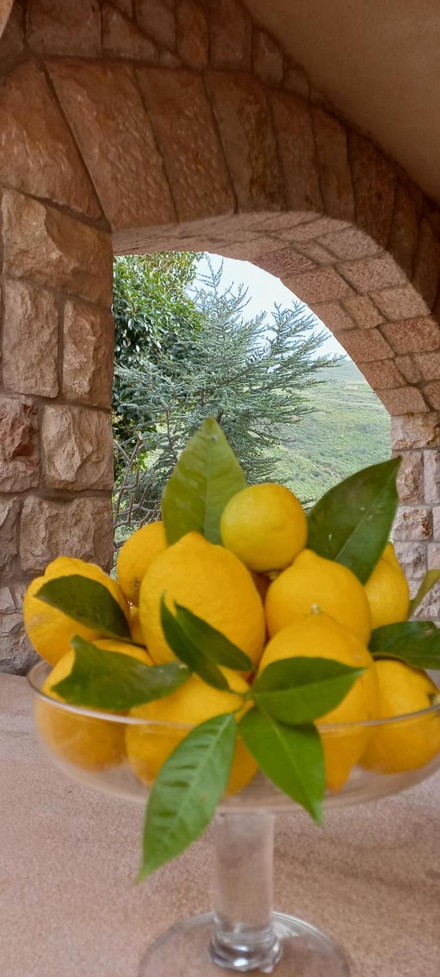 Villa Verde Cefalù Exteriér fotografie
